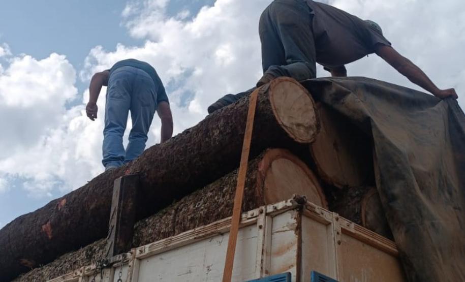 Foto de carga apreendida em operação