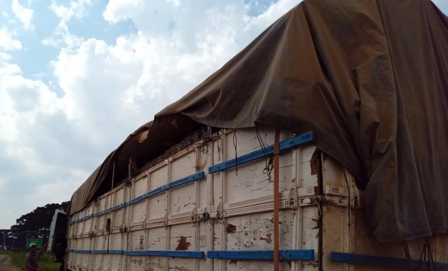 Foto de carga apreendida em operação