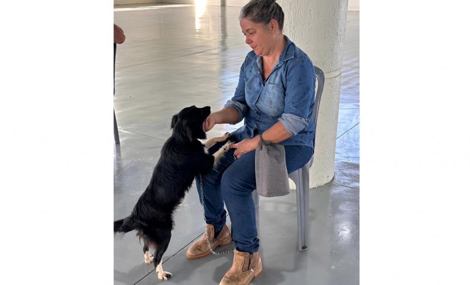 Em quatro meses, CastraPet Paraná atinge 63% dos municípios cadastrados no projeto neste ano