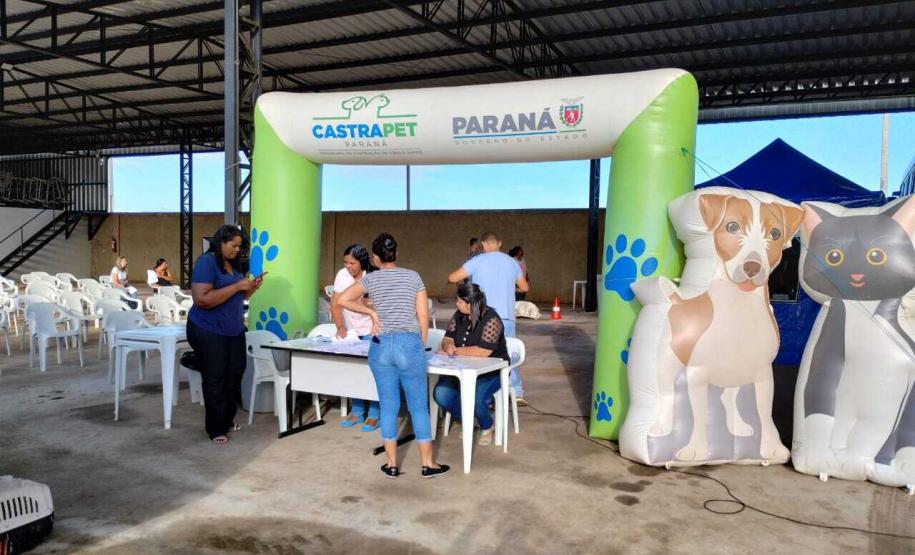 Em quatro meses, CastraPet Paraná atinge 63% dos municípios cadastrados no projeto neste ano