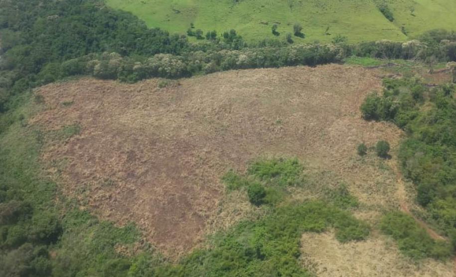 Foto de área desmatada