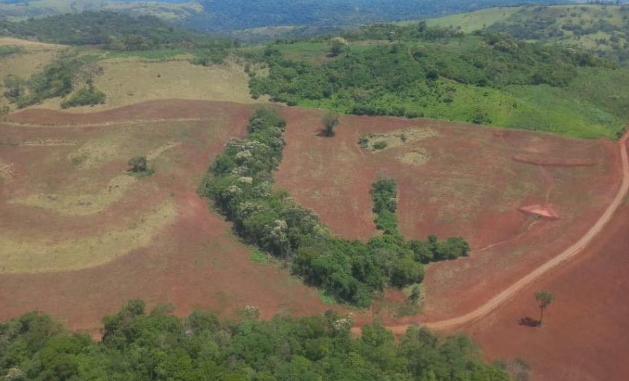 Foto de área desmatada