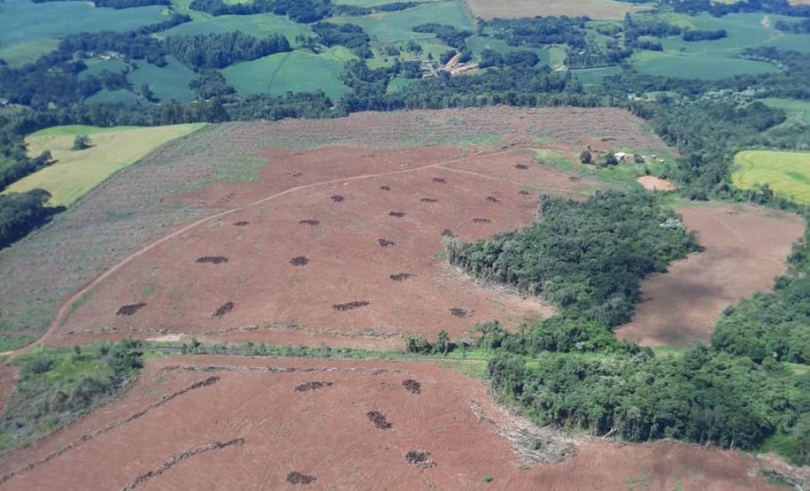 Foto de área desmatada