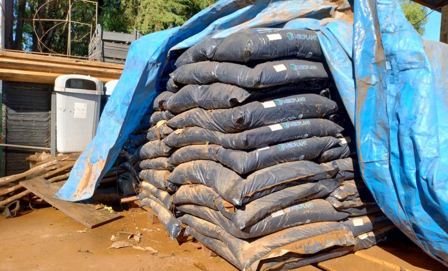 Foto de viveiro danificado pela chuva