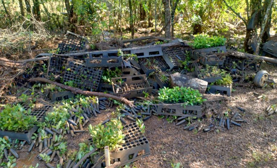 Foto de viveiro danificado pela chuva