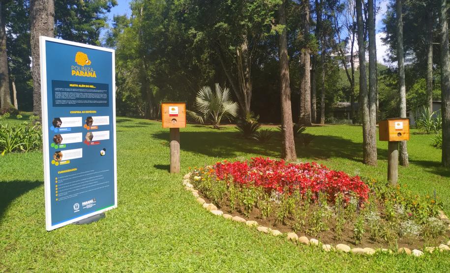 Dia da Abelha: Poliniza Paraná alcança 205 meliponários em todo o Estado