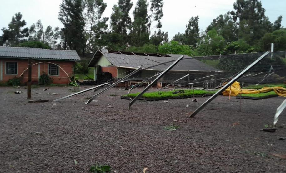 Viveiro de Cascavel com cercas tombadas
