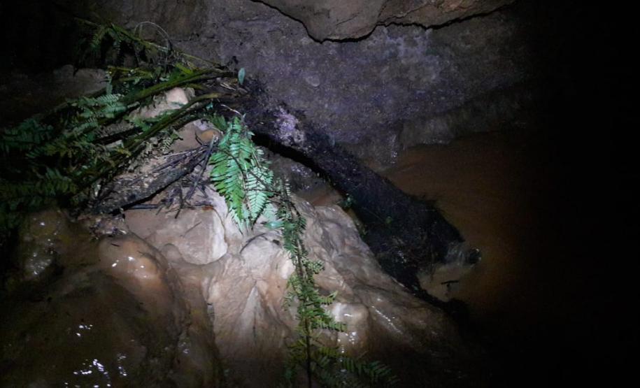 Enchente no Parque Estadual de Campinhos