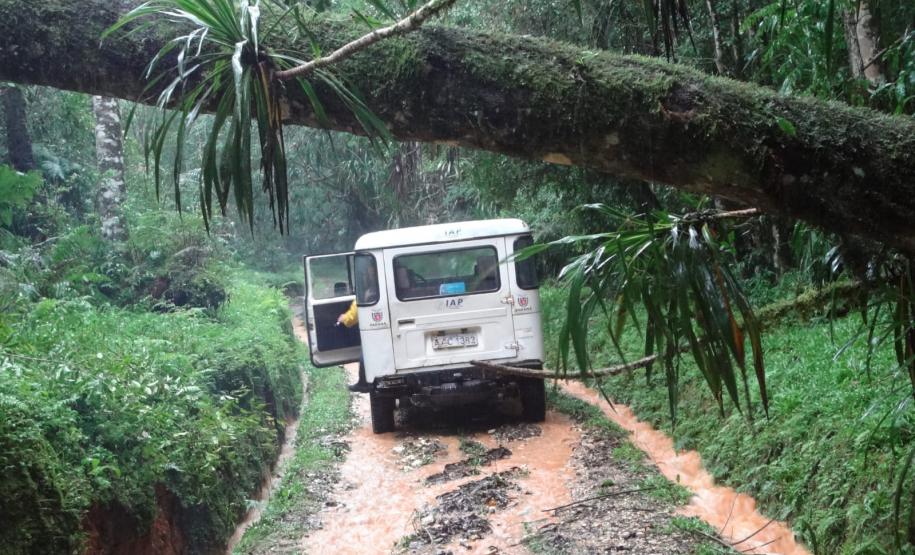 Enchente no Parque Estadual de Campinhos