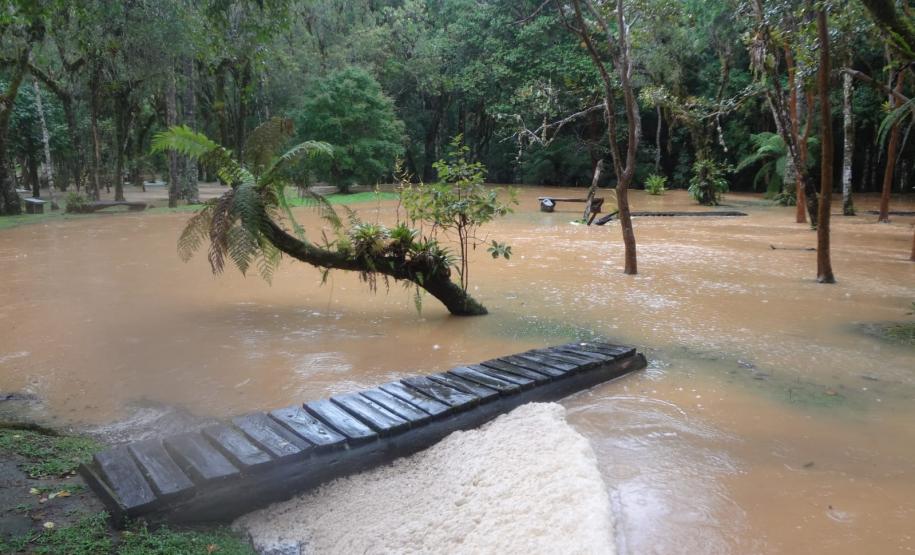 Enchente no Parque Estadual de Campinhos