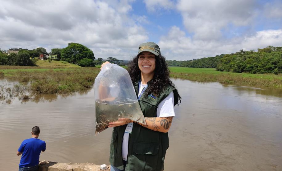 REPRESENTANTE DO IAT COM ALEVINOS EM UM SACO DE ÁGUA PRESTES A SEREM SOLTOS