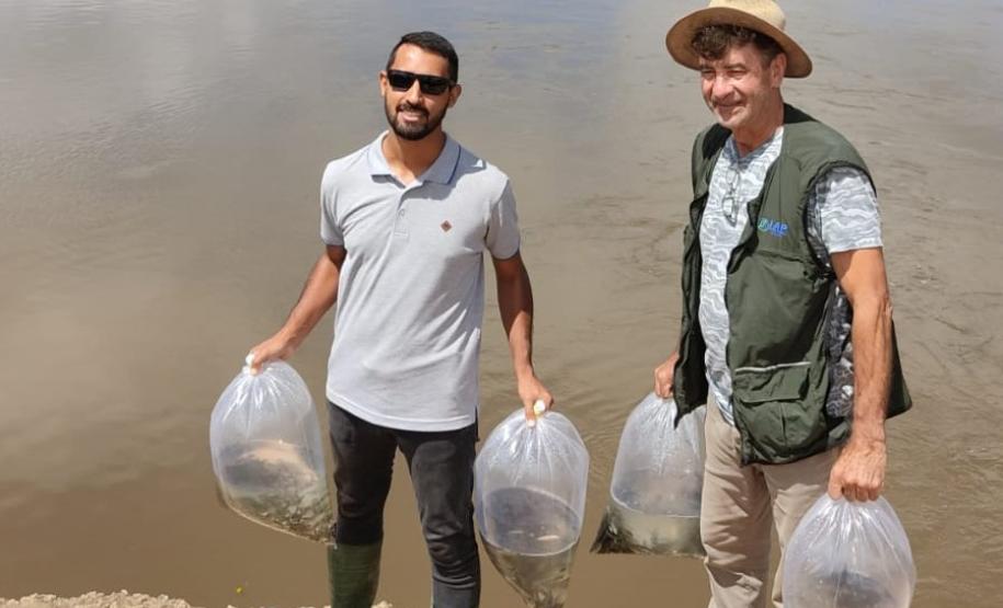 REPRESENTANTE DO IAT COM ALEVINOS EM UM SACO DE ÁGUA PRESTES A SEREM SOLTOS