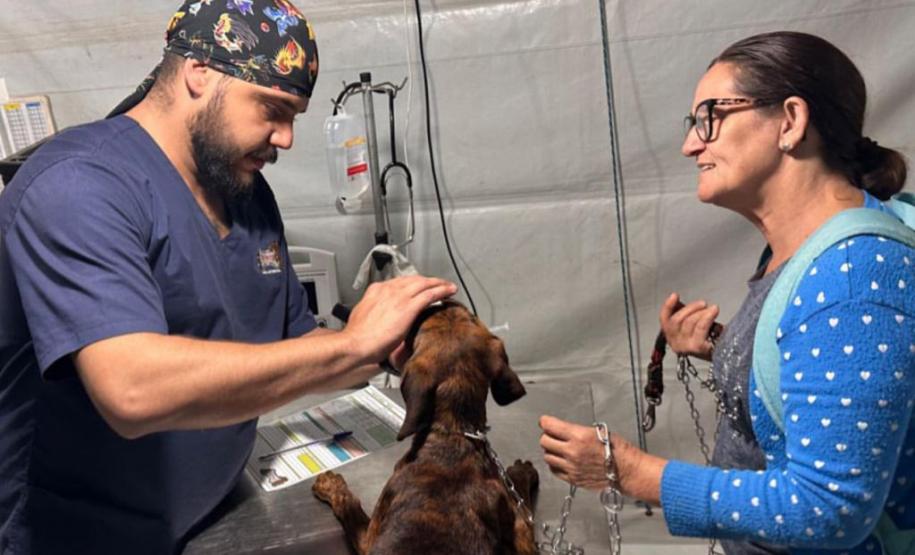 Pet recebendo cuidados de integrante do Castrapet em frente a sua dona