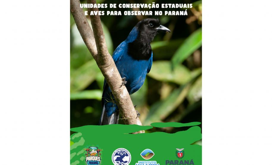 Capa do e-book "Unidades de conservação estaduais e aves para observar no Paraná " com um pássaro nativo do Paraná