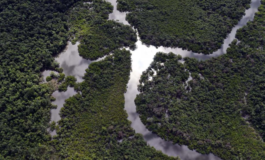 Desmatamento ilegal da Mata Atlântica reduz 64% no Paraná em 2023