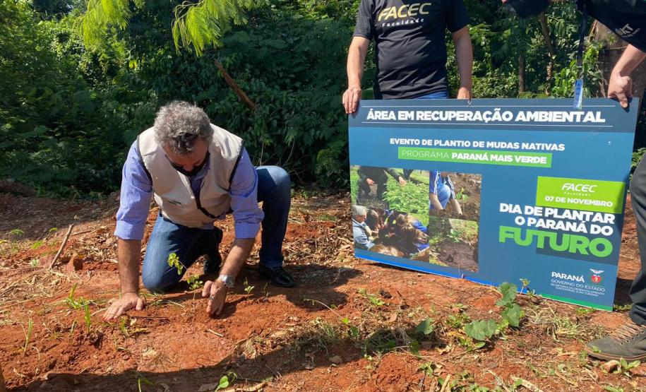 Foto de servidor do IAT plantando mudas