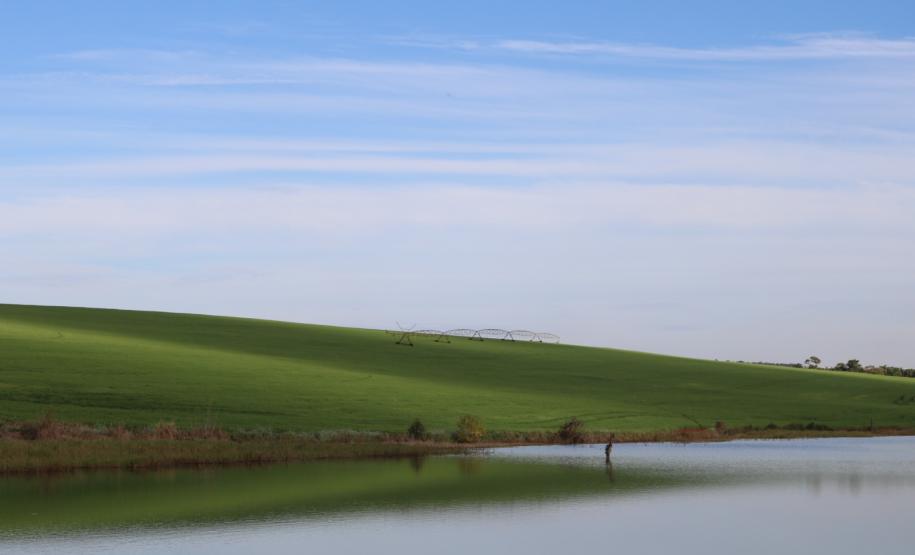Margens com grama do Rio Paranapanema