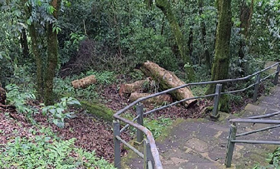 Escadaria com corrimões que concede acesso a trilha interditada