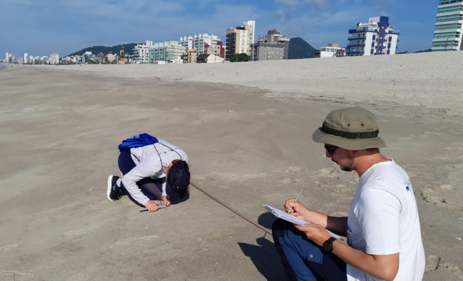 Biologos trabalhando na praia