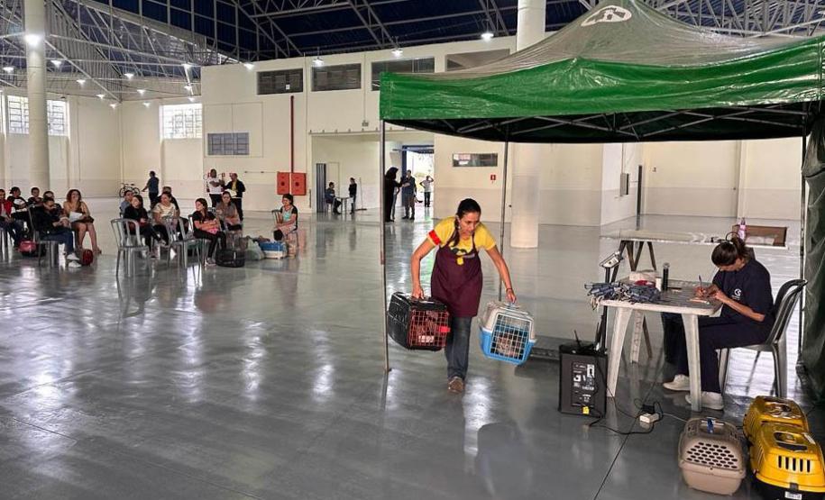 Centro de atividades do Castrapet