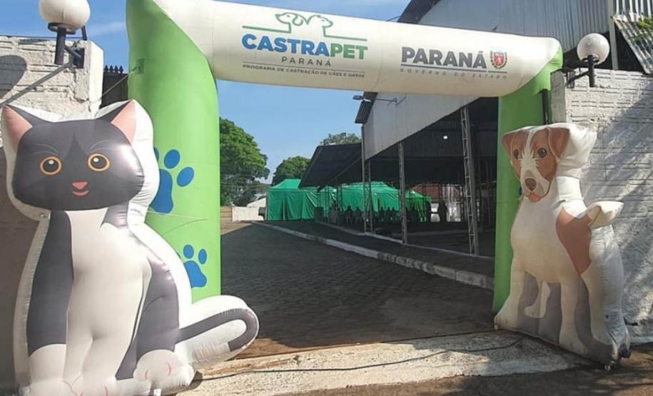 Portal inflado do castrapet