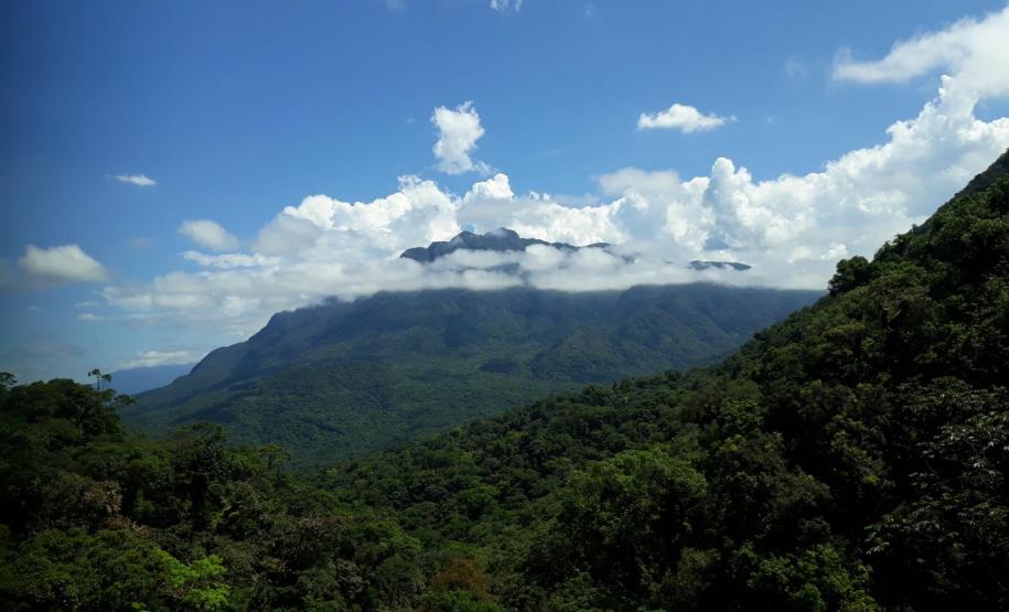 Paisagem de unidade de conservação paranaense