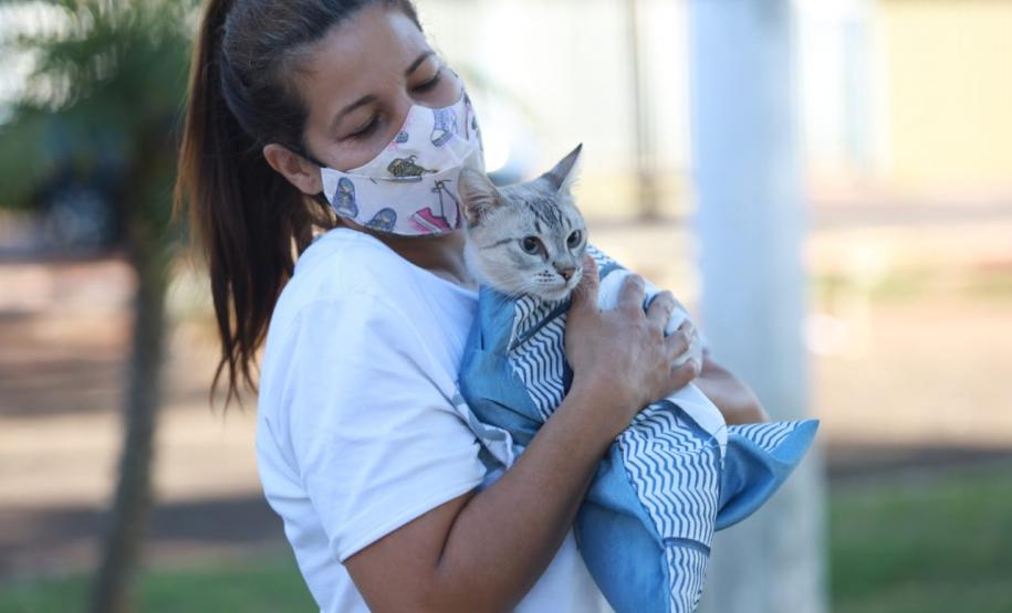 Educação ambiental: IAT prepara a estreia do Castrapet no Verão Maior Paraná