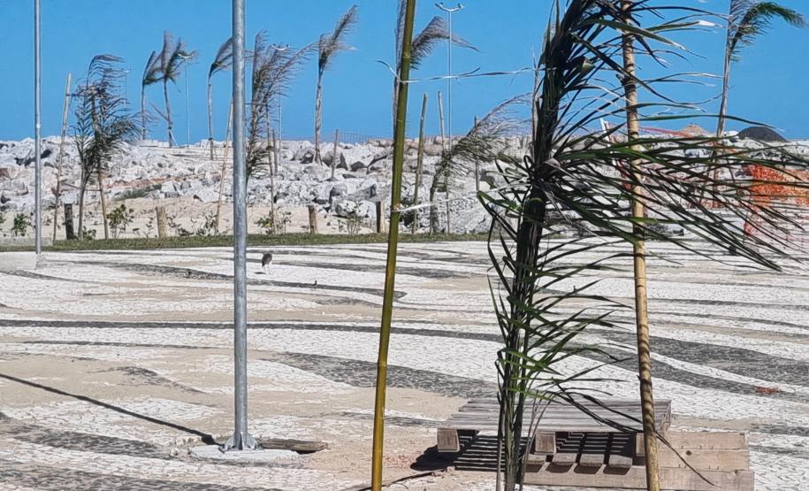 Foto de árvores plantadas na orla