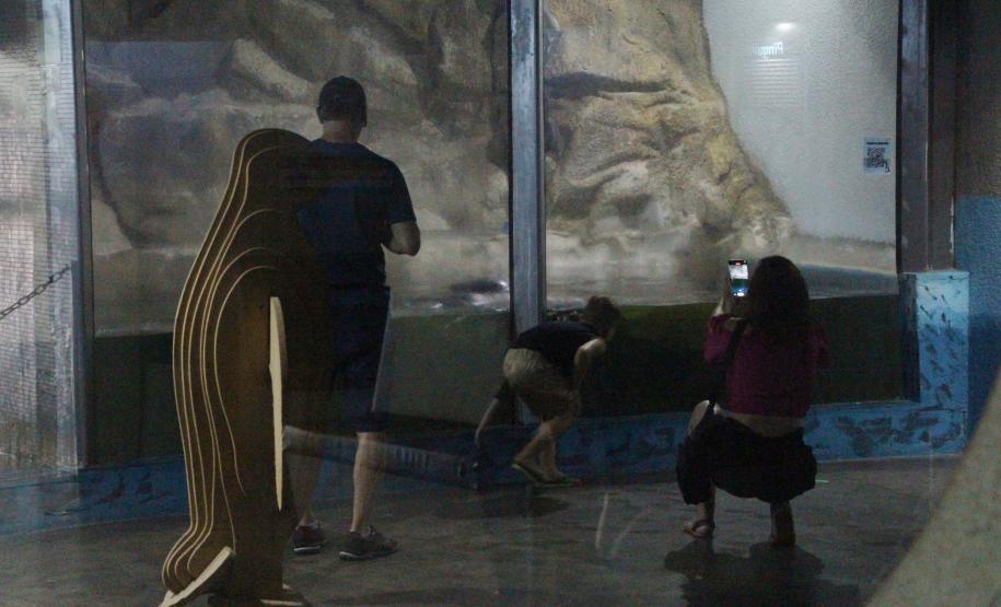 quário de Paranaguá é mais um ponto turístico para os passageiros de cruzeiros que desembarcam no litoral paranaense. O local conta com 507 animais de 93 espécies diferentes