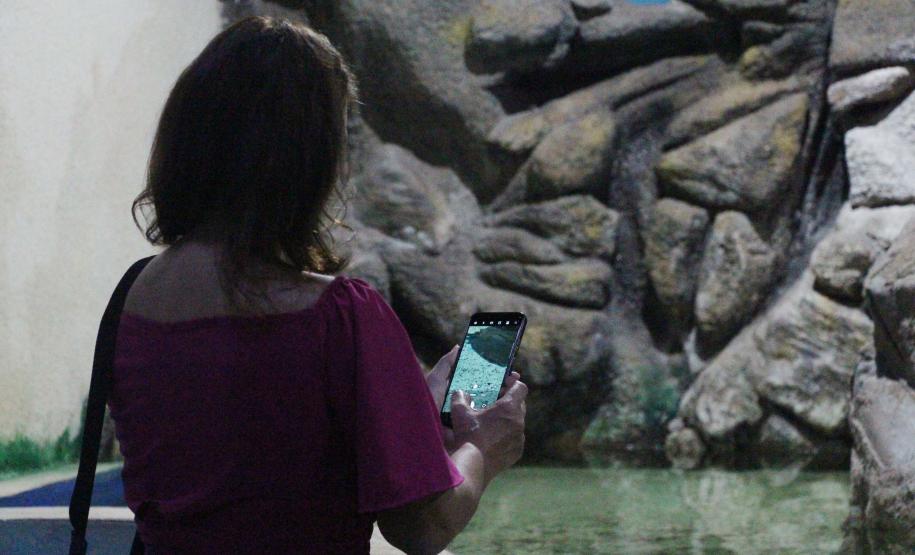 quário de Paranaguá é mais um ponto turístico para os passageiros de cruzeiros que desembarcam no litoral paranaense. O local conta com 507 animais de 93 espécies diferentes