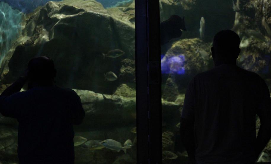 quário de Paranaguá é mais um ponto turístico para os passageiros de cruzeiros que desembarcam no litoral paranaense. O local conta com 507 animais de 93 espécies diferentes