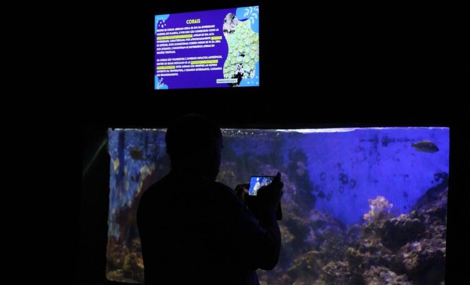 quário de Paranaguá é mais um ponto turístico para os passageiros de cruzeiros que desembarcam no litoral paranaense. O local conta com 507 animais de 93 espécies diferentes