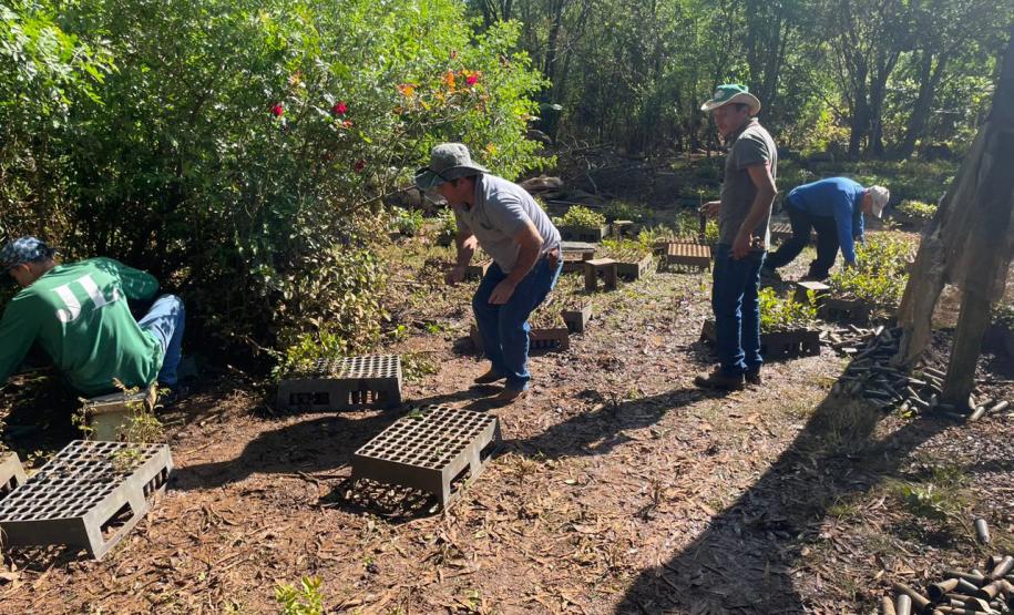 Servidores restaurando o viveiro