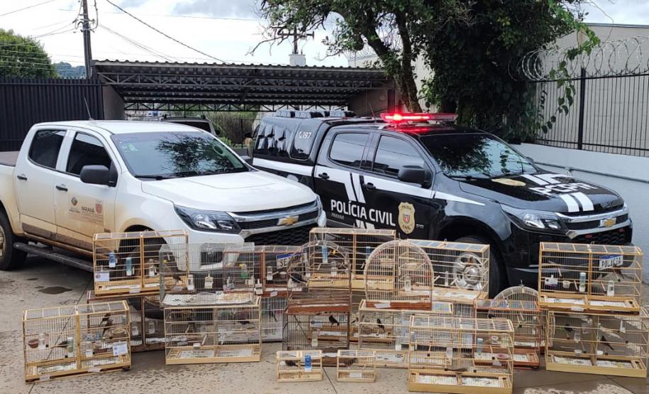 VIATURAS ATRAS DE GAIOLAS COM AS AVES RESGATADAS