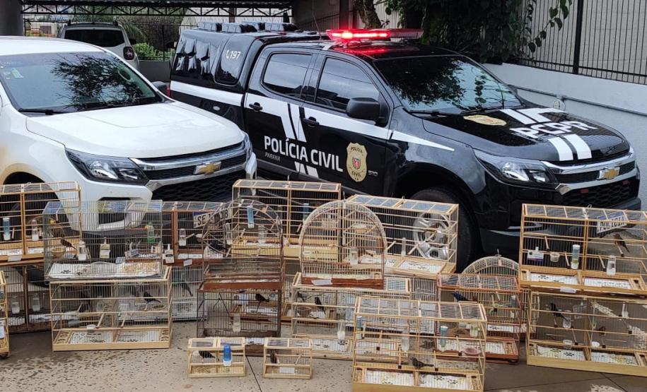 VIATURAS ATRAS DE GAIOLAS COM AS AVES RESGATADAS