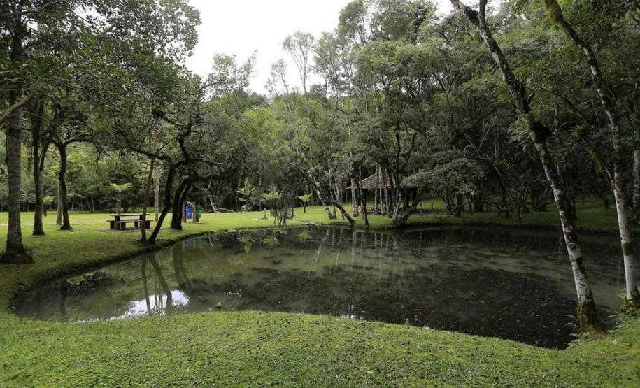 Foto de lago no Parque de Campinhos