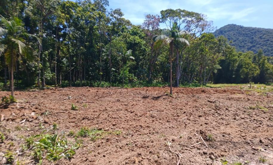 Foto de área desmatada