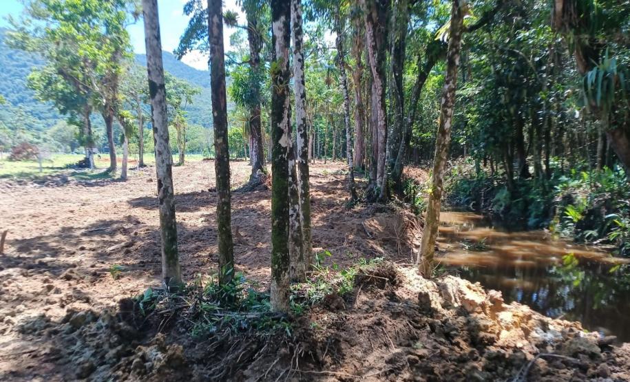 Foto de área desmatada