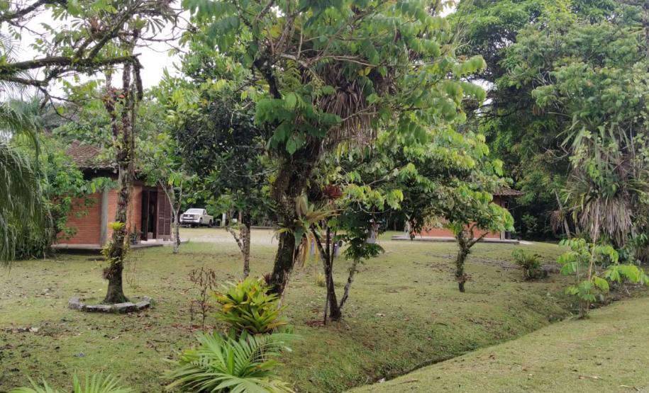 Foto de paisagem no Parque do Palmito