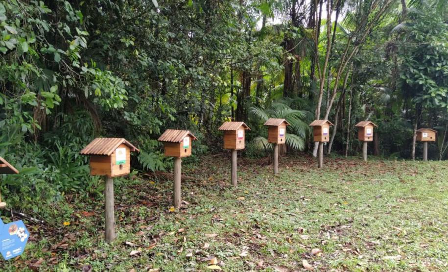 Foto de colmeias no Parque do Palmito