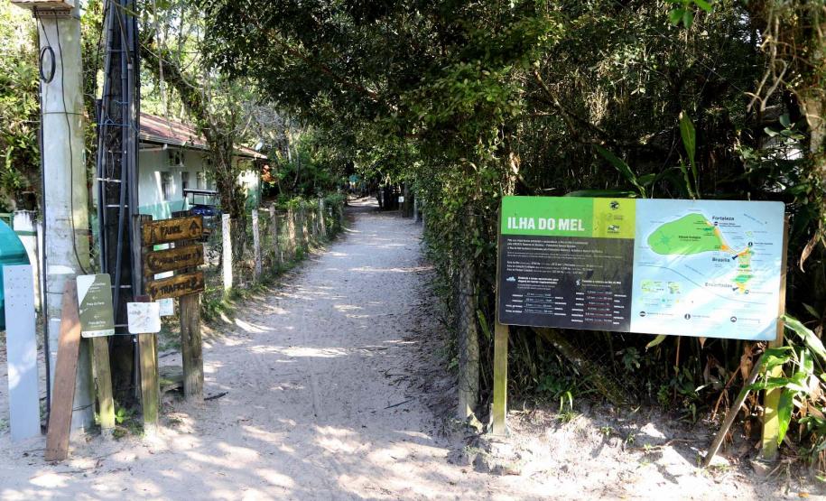 Foto de trilha da Ilha do Mel