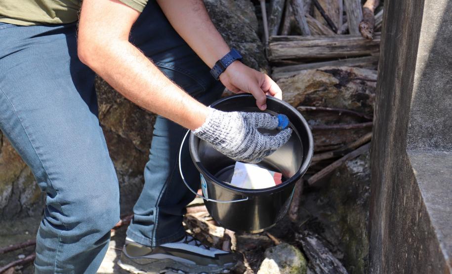 Foto de voluntários durante mutirão
