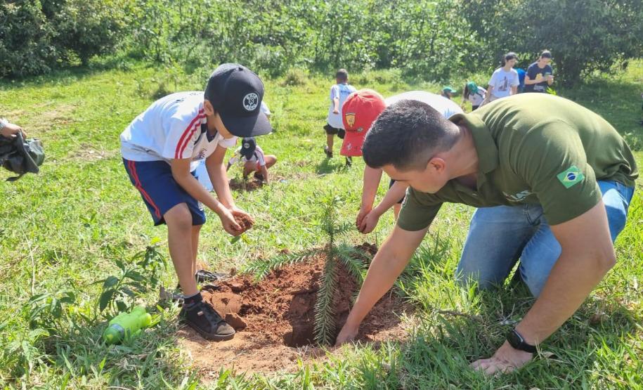Paraná deve alcançar 10 milhões de mudas distribuídas no primeiro semestre deste ano