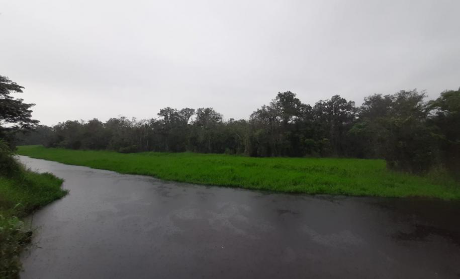 A Estação Ecológica Rio das Pombas terá quase 800 hectares e vai ajudar na preservação do ecossistema do Litoral do Paraná