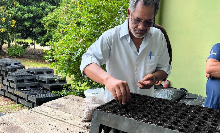 Viveiro de Morretes ajudou a expandir educação ambiental durante o Verão Maior Paraná