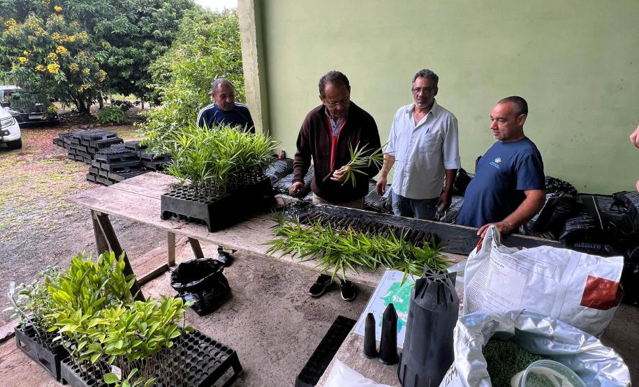 Viveiro de Morretes ajudou a expandir educação ambiental durante o Verão Maior Paraná