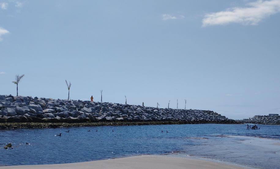 AVES PRÓXIMAS AS OBRAS DA REVITALIZAÇÃO