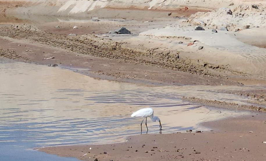 AVE PRÓXIMA AS OBRAS DA REVITALIZAÇÃO