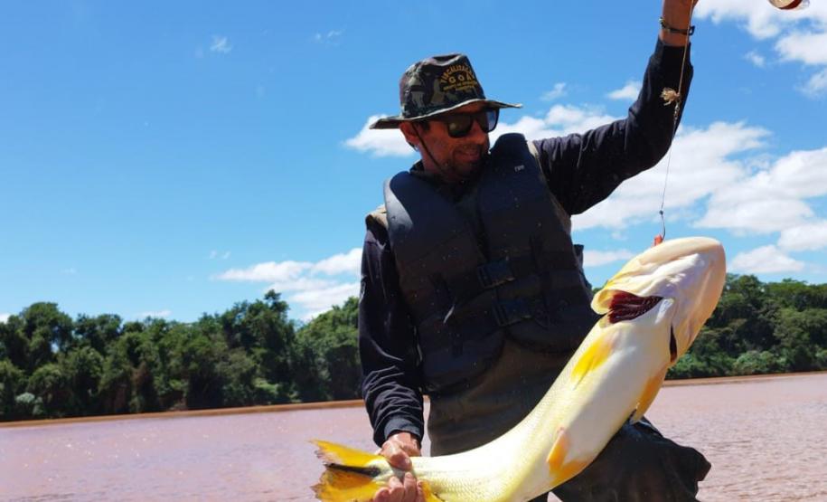 Fiscal retirando rede de um peixe grande