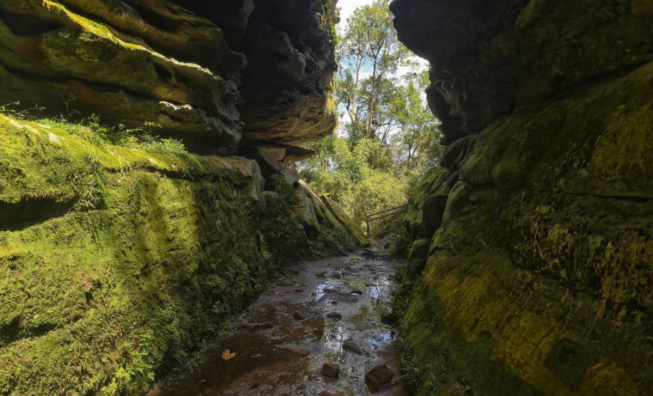 Foto de passagem em parque estadual